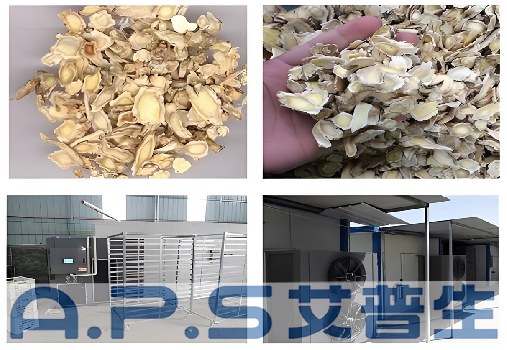 艾普生桔梗烘干機(jī)做好這幾點(diǎn)，整個桔梗烘干過程既節(jié)能又高效