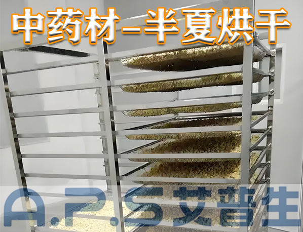 中藥材半夏烘干，除了傳統(tǒng)的烘干方法，首選推薦使用艾普生空氣能熱泵烘干機