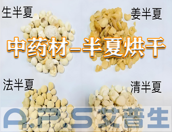 艾普生環(huán)境科技：半夏的烘干方法有哪些？哪一種烘干效果更好？
